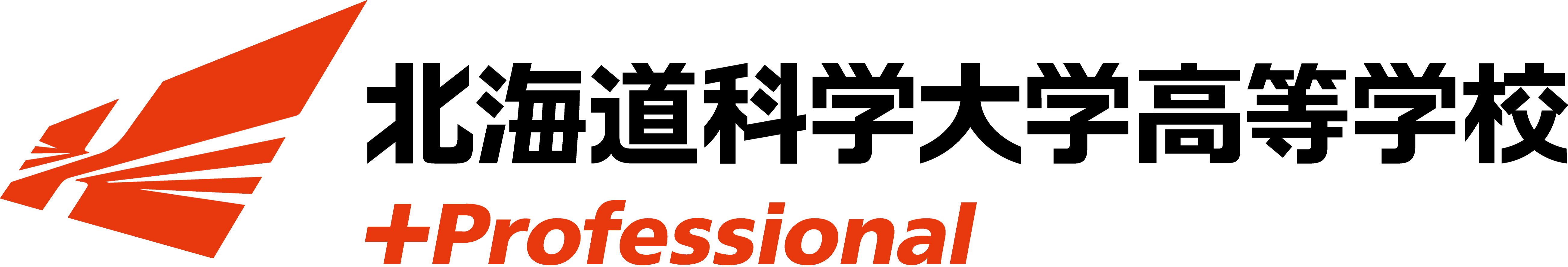 北海道科学大学高等学校 +Professional